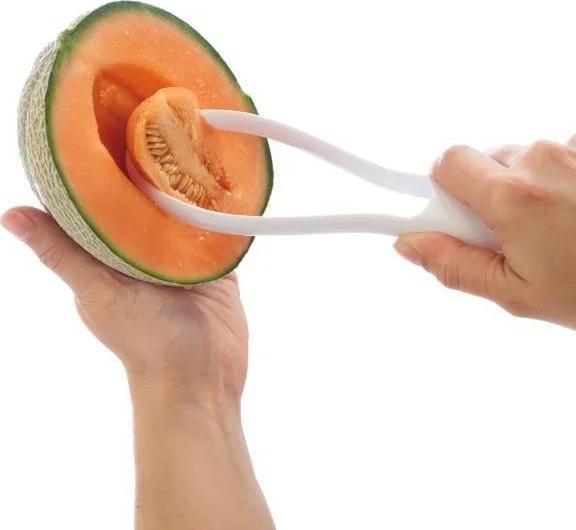 zyliss Melon Cutting Tool