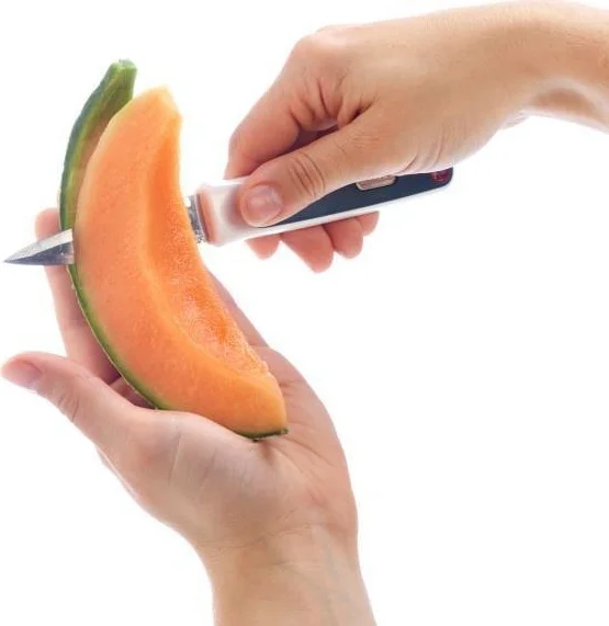 zyliss Melon Cutting Tool