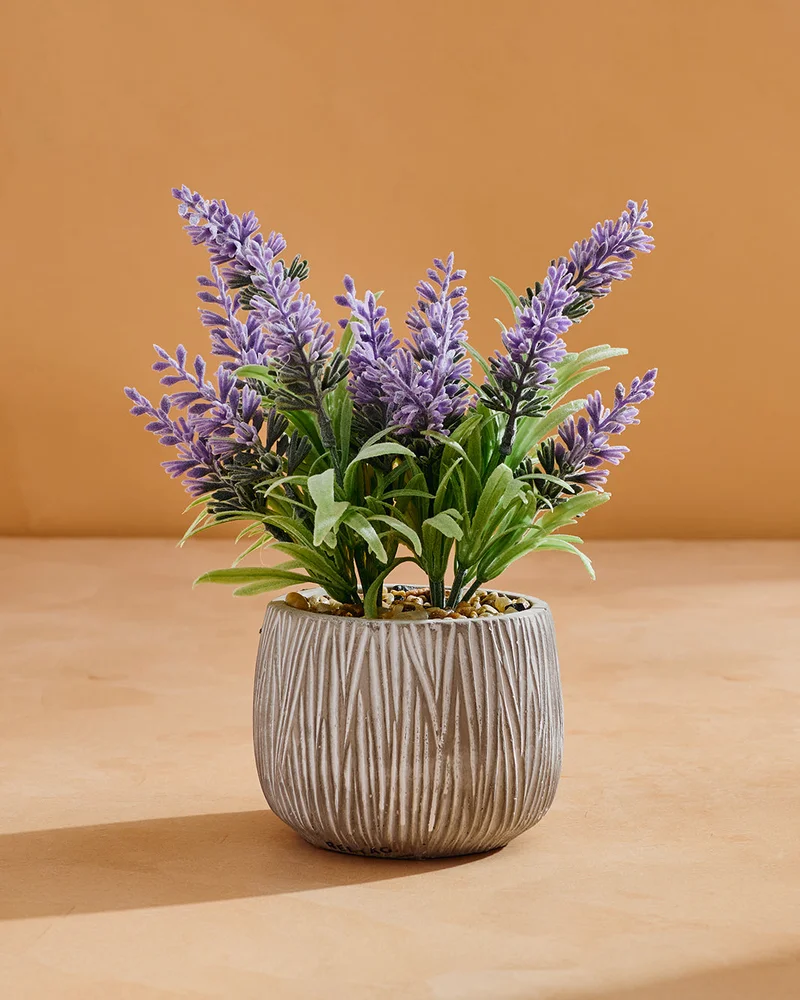 Redtag Artificial Purple Plant With Planter