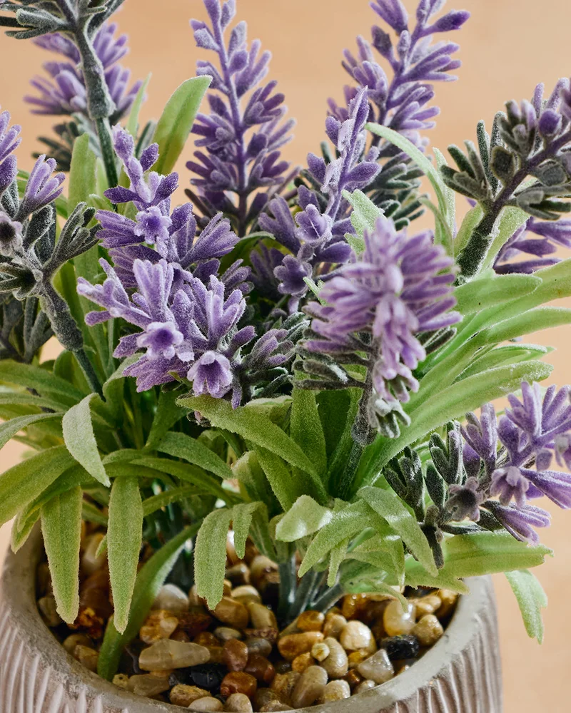 Redtag Artificial Purple Plant With Planter