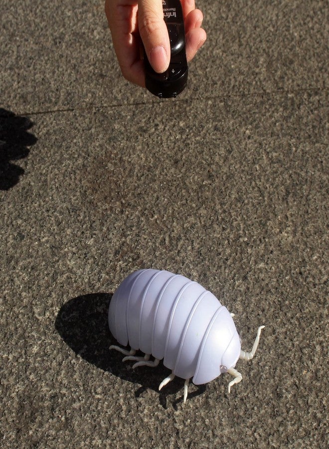 Tipmant RC Bug Remote Control Worm Realistic Pillbug Electronic Animal Prank Toy Insect Car Vehicle Kids Birthday Gifts (White) - Image 3