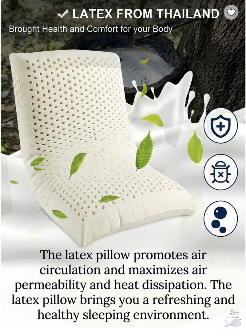 Cannon Latex Pillow (Standard) Size 60 x 40 x 14 cm - Image 4