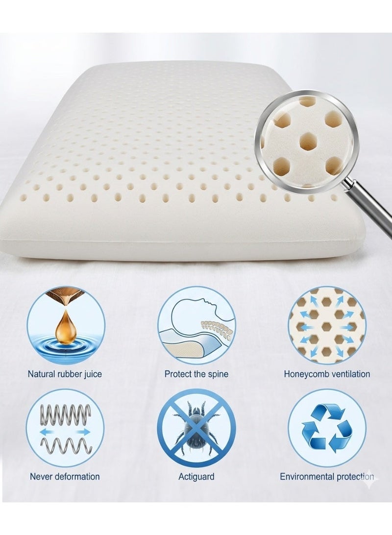 Cannon Latex Pillow (Standard) Size 60 x 40 x 14 cm - Image 3