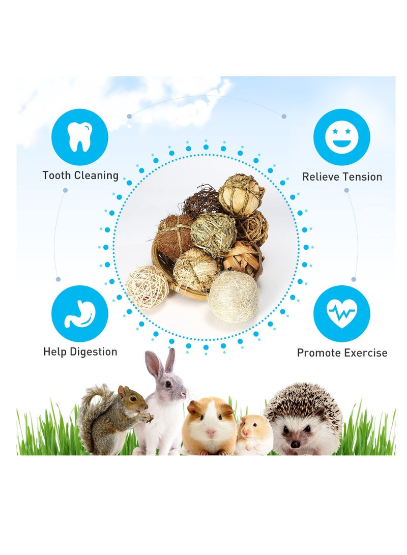 Excefore Natural Grass Balls for Small Pets - Set of 9 Chew Toys to Improve Dental Health of Rabbits, Chinchillas, Hamsters, Gerbils, Rats, Mice. Fun and Beneficial Play Balls - Image 4