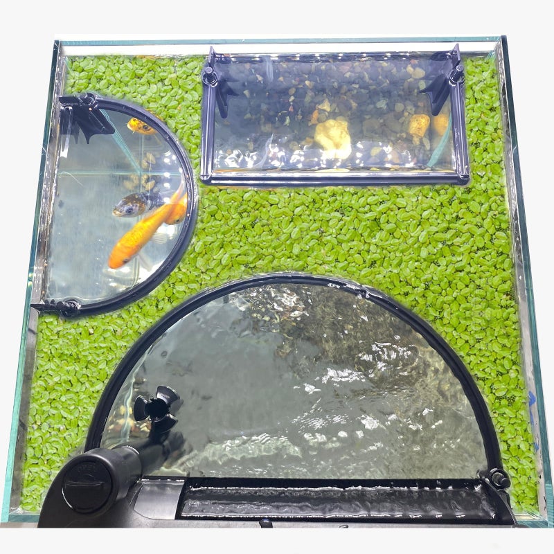 Switior Floating Plant Corral for Aquarium, Fish Tank Accessories to Protects Duckweed from Filters, Automatically Adjusts Height According to Water Level, Suitable for All Duckweed and all aquariums(Style 2) - Image 1
