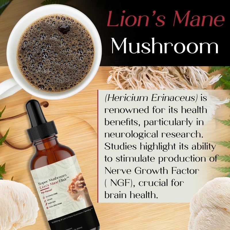 Auri Lions Mane Liquid Elixir  Brain Supplements for Memory and Focus with Functional Mushrooms  Lions Mane Supplement  Full Spectrum Lions Mane Extract  No GMO Vegan Mushroom Tincture - Image 5