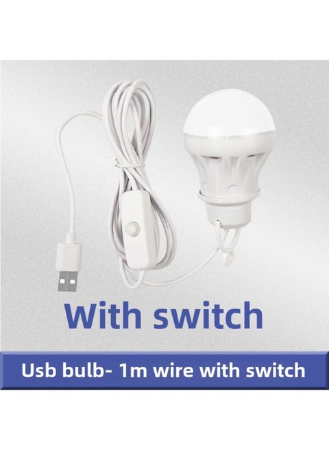 5v Usb Led Bulb Light Portable Power Bank Street Stall Computer Use Low Voltage Outdoor Lighting Lantern-Color:With Switch (1 M With Switch) (no Packaging Bare Lamp)