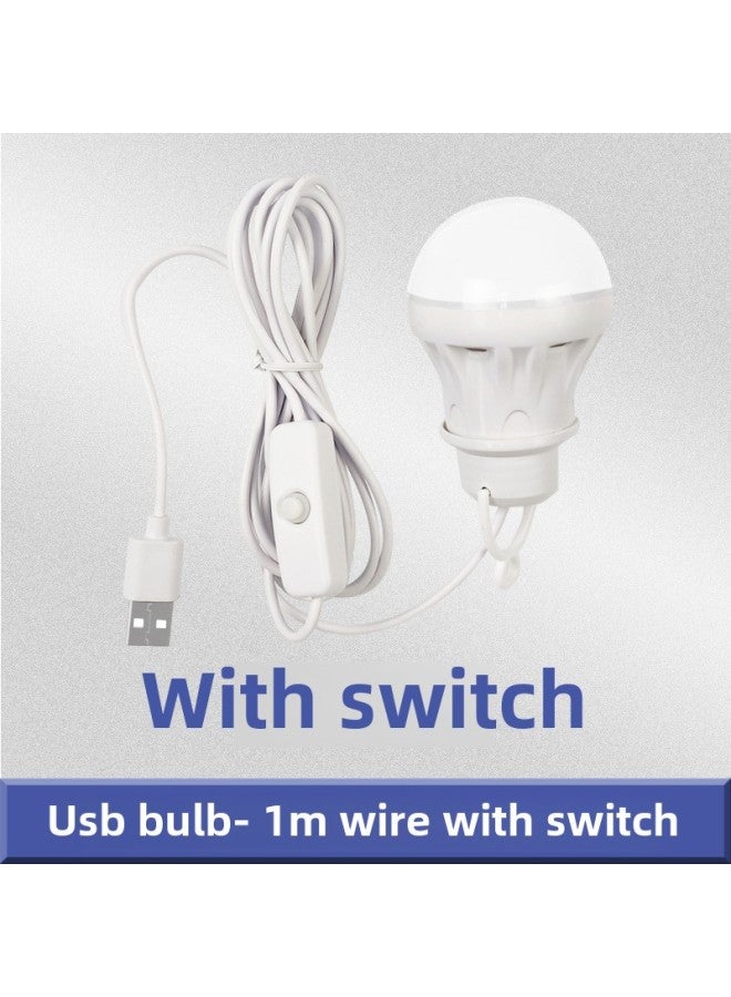5v Usb Led Bulb Light Portable Power Bank Street Stall Computer Use Low Voltage Outdoor Lighting Lantern-Color:With Switch (1 M With Switch) (no Packaging Bare Lamp)
