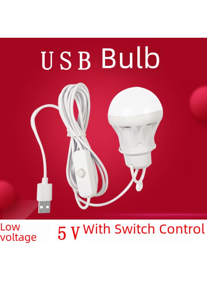 5v Usb Led Bulb Light Portable Power Bank Street Stall Computer Use Low Voltage Outdoor Lighting Lantern-Color:With Switch (1 M With Switch) (no Packaging Bare Lamp)