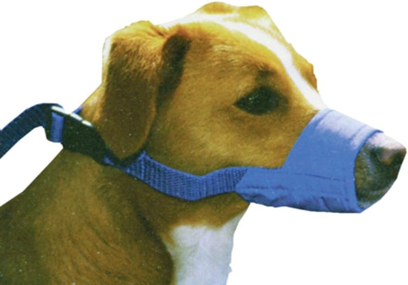 Quick Muzzle Animal Muzzle Blue