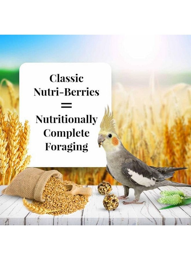 لافيبيرز طعام الطيور الأليفة الكلاسيكي Nutri-Berries من LAFEBER'S، مصنوع من مكونات غير معدلة وراثيًا ومناسبة للبشر، للطيور الكوكتيل (4 رطل) - Image 4