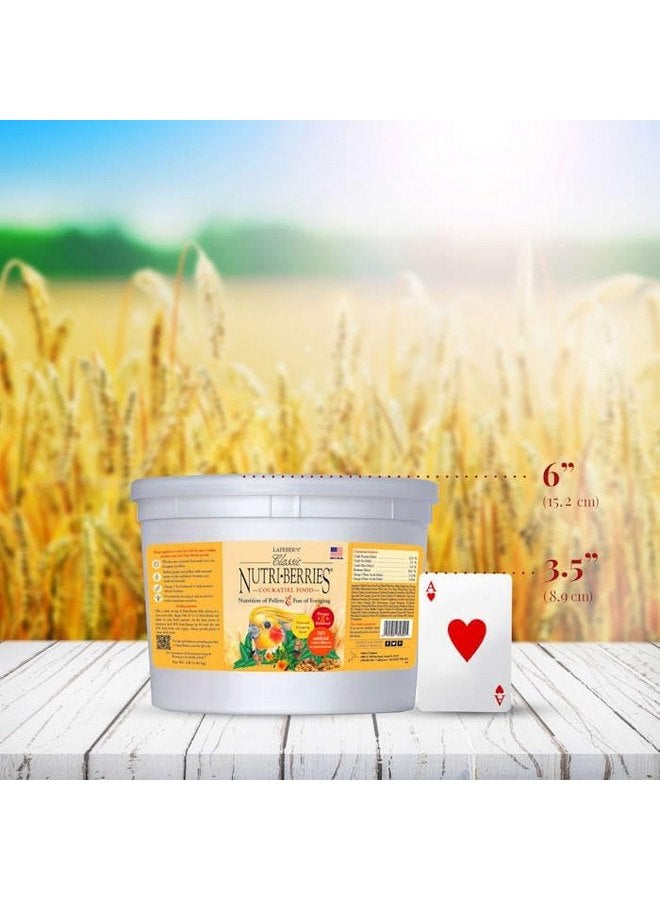 لافيبيرز طعام الطيور الأليفة الكلاسيكي Nutri-Berries من LAFEBER'S، مصنوع من مكونات غير معدلة وراثيًا ومناسبة للبشر، للطيور الكوكتيل (4 رطل) - Image 3