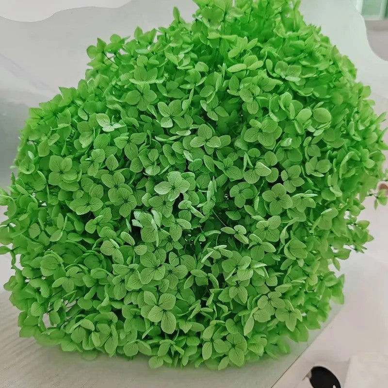 Bluejw Real Touch Dried Flowers Bouquet with Preserved Hydrangea – Natural Dried Plants for Wedding & Home Decoration - Image 1