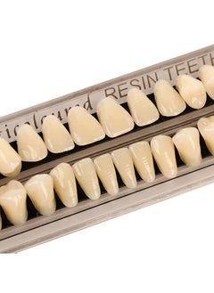 Composite Resin Teeth，28 Pieces False Teeth，Whole Teeth Synthetic Polymer Denture Teeth，23 Shade A3 Upper + Lower Dental Materials for Replacement - pzsku/ZA34FA48573169C2C0A15Z/45/_/1716452356/d54a79b9-1415-44d1-ae34-d3937559939c