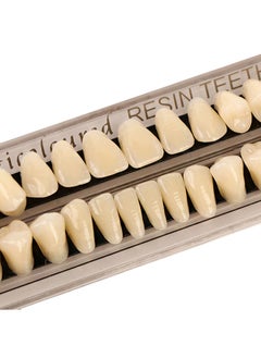 HaLunhi Composite Resin Teeth，28 Pieces False Teeth，Whole Teeth Synthetic Polymer Denture Teeth，23 Shade A3 Upper + Lower Dental Materials for Replacement  - Image 2