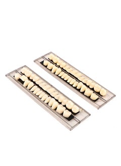 HaLunhi Composite Resin Teeth，28 Pieces False Teeth，Whole Teeth Synthetic Polymer Denture Teeth，23 Shade A3 Upper + Lower Dental Materials for Replacement  - Image 3