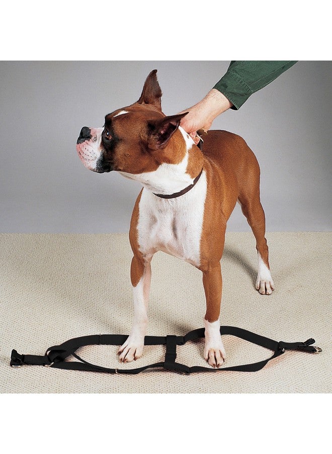 Guardian Gear Nylon 2-Step Dog Harness with Nickel-Plated Swivel Clip, Fits Chests 9" to 15", Black - Image 2