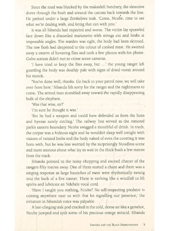 Sibanda And The Black Sparrow Hawk - Image 5