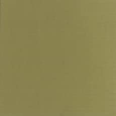 Holbein Acryla Gouache 20ml Ash Yellow - Image 2