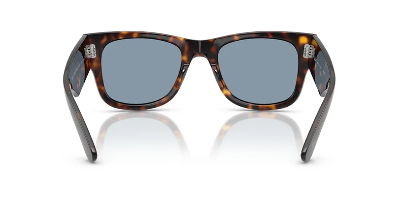 Ray-Ban 0Rb0840S Square Sunglasses