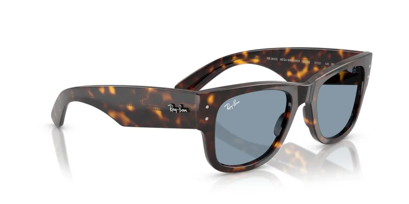 Ray-Ban 0Rb0840S Square Sunglasses