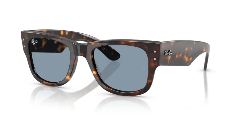 Ray-Ban 0Rb0840S Square Sunglasses
