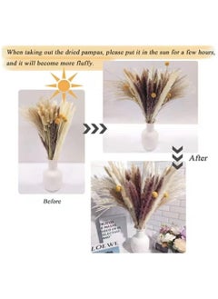 Natural Dried Pampas Grass, Boho Decor Fluffy White Pompous Grass Large Reed Bunny Tail Wheat Stalk Decorative Plumes Italian Ruscus Solidago Goldenrod Flower Bouquet - pzsku/ZA355A6FE789FE9485EA9Z/45/_/1723632047/df3ba242-a4bc-4d6f-a749-0b58650173b5