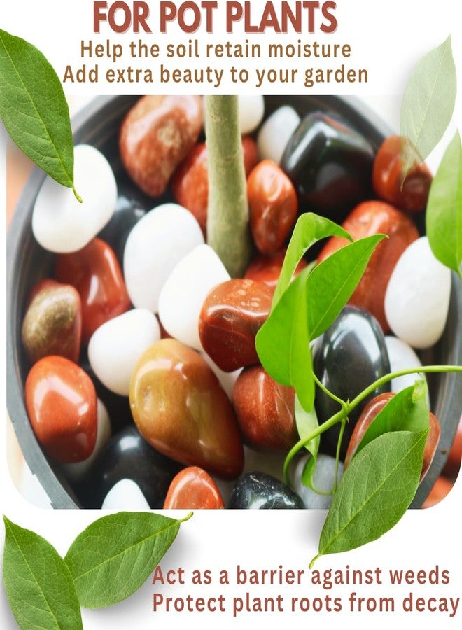 Wowtag Black,White and Red Combo Polished Pebbles, 2-4 CM,1.95 KG, Decorative Stone for Plants, Aquarium, Garden,Vase Filler, Craft Work - Image 2