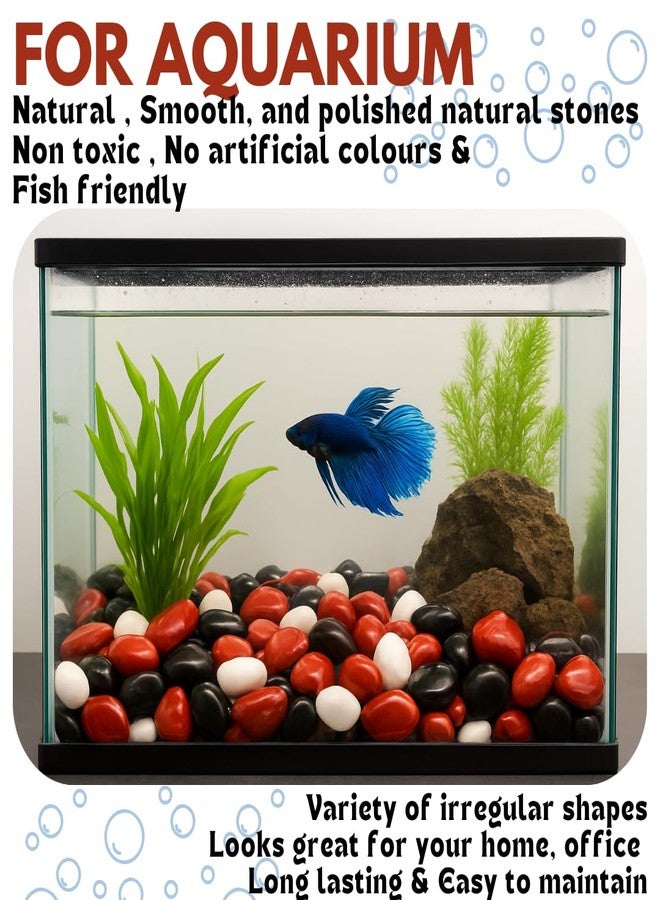Wowtag Black,White and Red Combo Polished Pebbles, 2-4 CM,1.95 KG, Decorative Stone for Plants, Aquarium, Garden,Vase Filler, Craft Work - Image 3