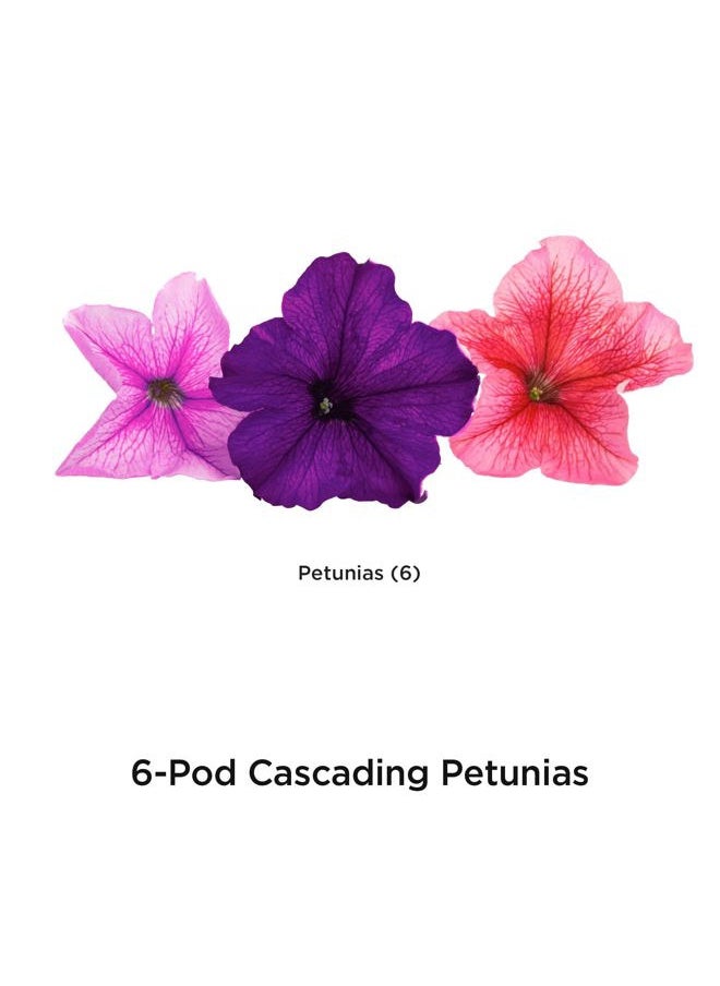 AeroGarden Cascading Petunias Seed pod Kit for AeroGarden Hydroponic Indoor Garden, 6-Pod  - Image 2