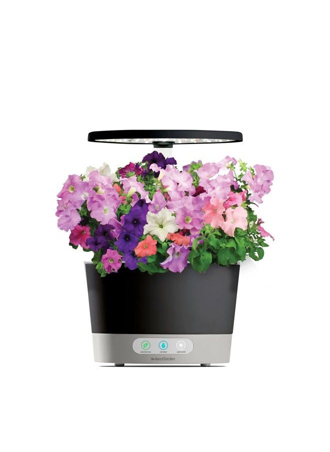 AeroGarden Cascading Petunias Seed pod Kit for AeroGarden Hydroponic Indoor Garden, 6-Pod  - Image 4
