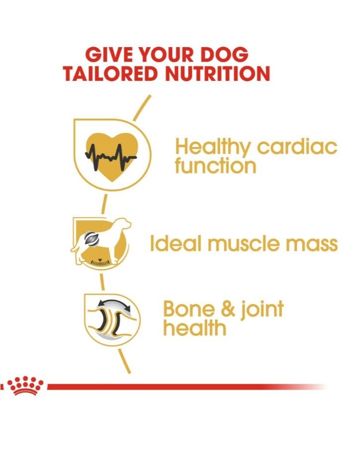 ROYAL CANIN Breed Health Nutrition Rottweiler Adult 12 KG - Image 4