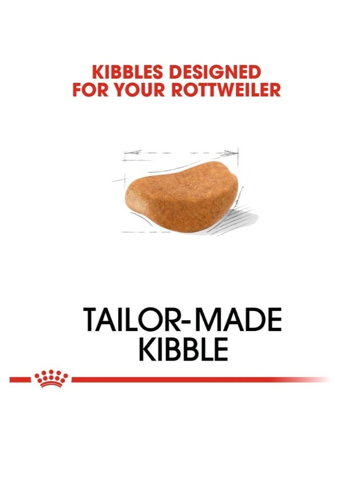 ROYAL CANIN Breed Health Nutrition Rottweiler Adult 12 KG - Image 2