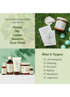 SKIN FOOD since 1957 Skinfood Pantothenic Water Parsley Clear Pad 250G (8.81 Oz.) 60 Sheets  - Image 4