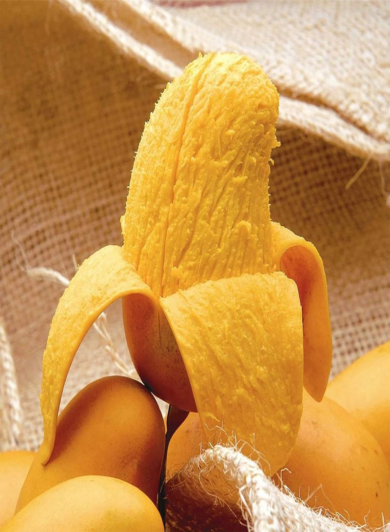 GGOOT 10Pcs Premium Fruit Seeds, Mangoes Tree Seeds Nutritious Productive Delicious Fruits Edible Fruit Plant Seedlings for Garden Yellow - Image 4