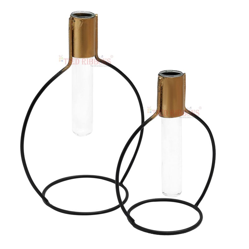 TIED RIBBONS TIED RIBBONS Decorative Test Tube Planter Flower Vase with Metal Stand Set of 2 Black for Money Plant Flowers Home Decor Office Living Room Indoor Outdoor Living Room Table Top Decoration  - Image 4