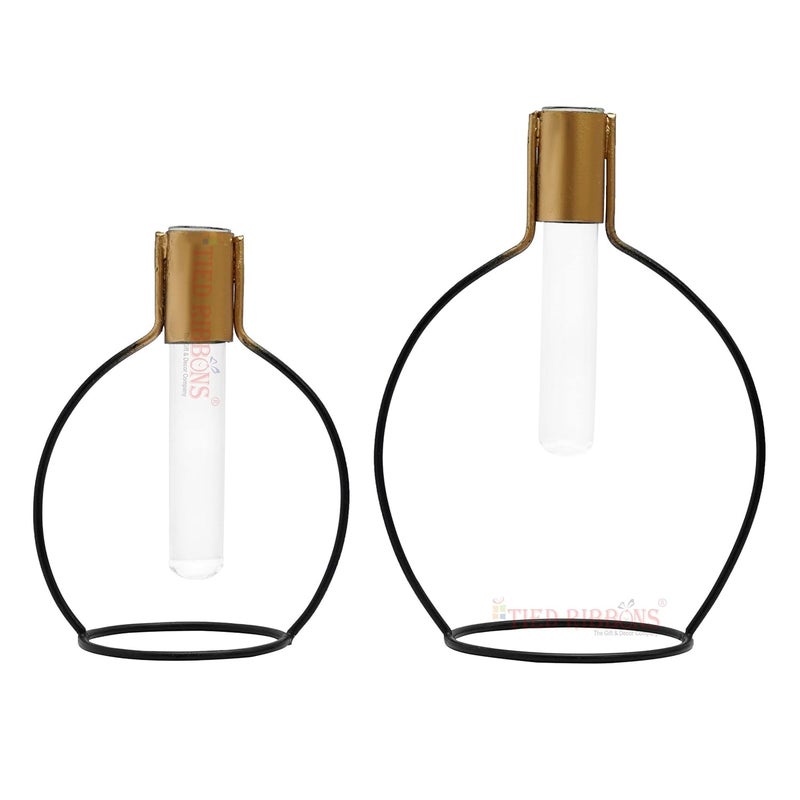 TIED RIBBONS TIED RIBBONS Decorative Test Tube Planter Flower Vase with Metal Stand Set of 2 Black for Money Plant Flowers Home Decor Office Living Room Indoor Outdoor Living Room Table Top Decoration  - Image 3