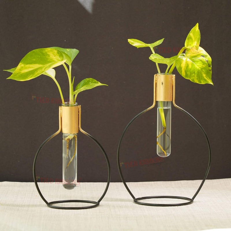 TIED RIBBONS TIED RIBBONS Decorative Test Tube Planter Flower Vase with Metal Stand Set of 2 Black for Money Plant Flowers Home Decor Office Living Room Indoor Outdoor Living Room Table Top Decoration  - Image 1