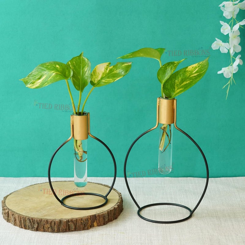 TIED RIBBONS TIED RIBBONS Decorative Test Tube Planter Flower Vase with Metal Stand Set of 2 Black for Money Plant Flowers Home Decor Office Living Room Indoor Outdoor Living Room Table Top Decoration  - Image 2