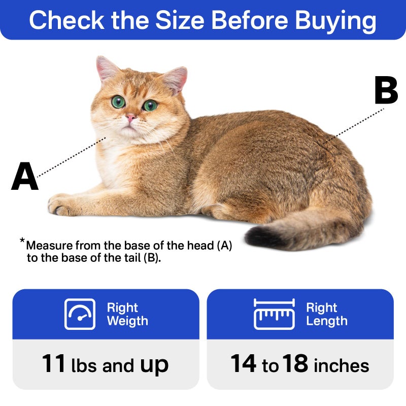 AmKune Cat Carrier Pouch for Medium Cats 10â€“20 lbs, Soft Cat Carrier with Upgraded Adjustable Strap, Durable Cotton Cat Bag for Nail Trimming, Medication & Vet Visits â€“ Klein Blue - Image 2