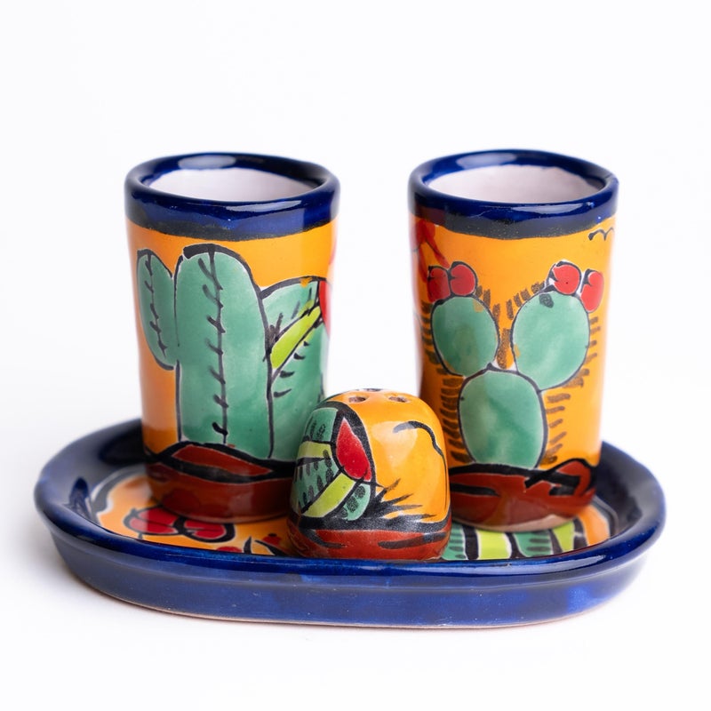 MEXTEQUIL Talavera Tequila Shot Glasses with Tray  Salt Shaker Set of 2  Cactus Design  HandPainted Authentic Mexican Gift Set