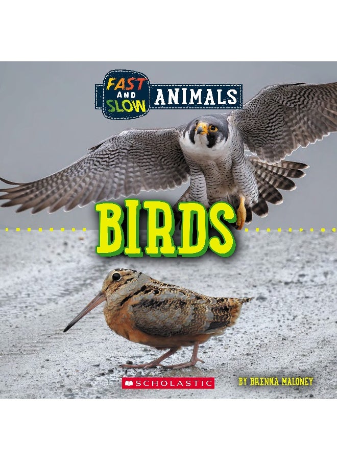 Birds (Wild World: Fast and Slow Animals) 