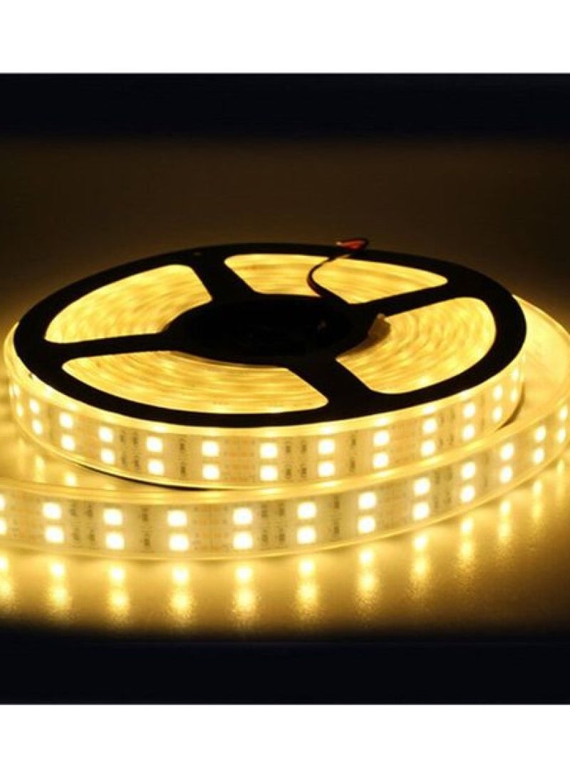 LED Double Warm Light Strip-5M-waterproof Tape  - Image 1