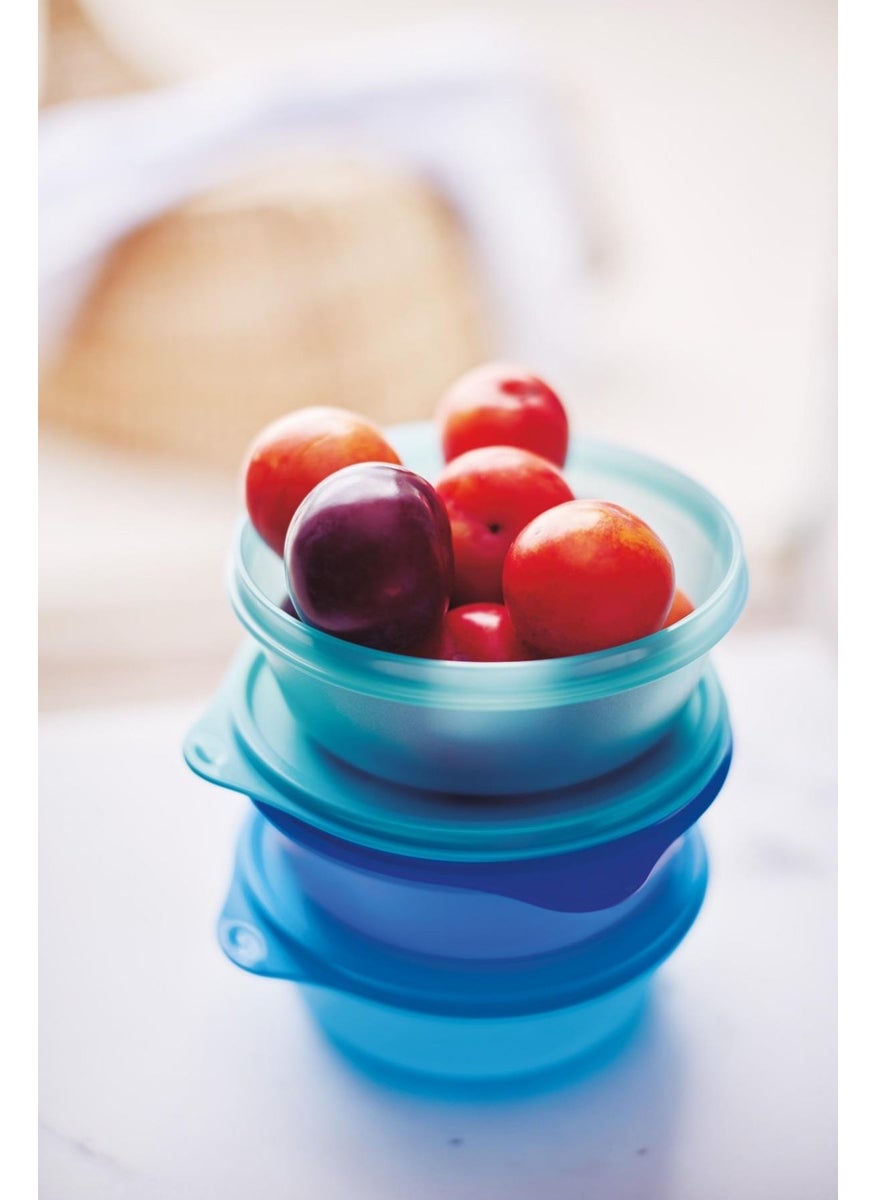 Tupperware - Storage and Serving Small Container Set of 3 600 ml - Image 1