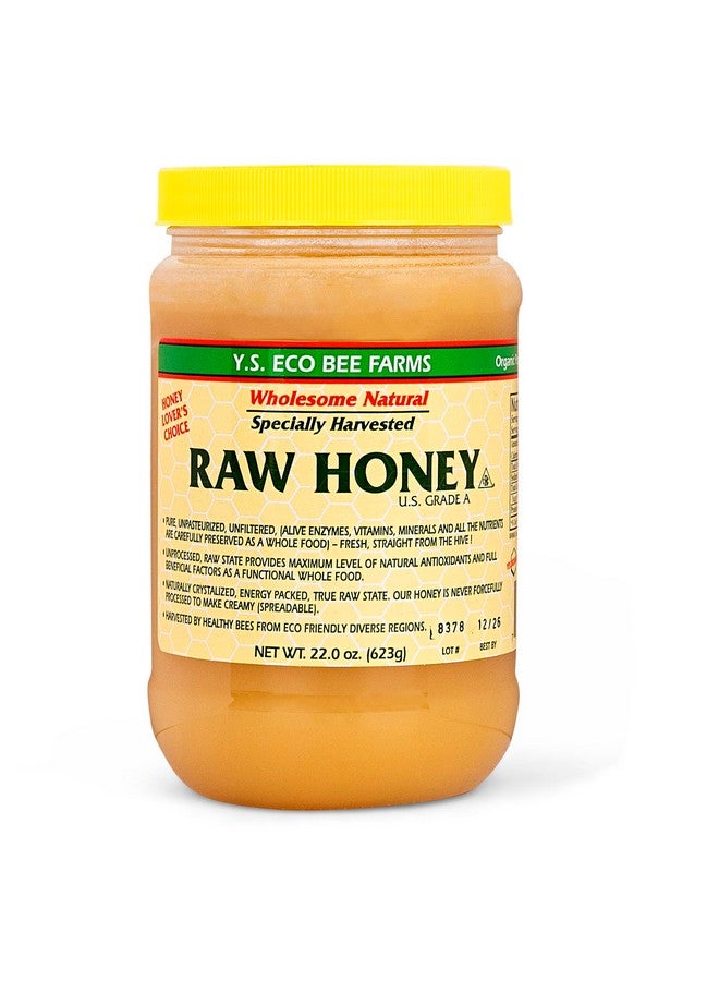 ILIOS Y.S. Eco Bee Farms Raw Honey - 22 oz, Packed by Ilios - Image 1