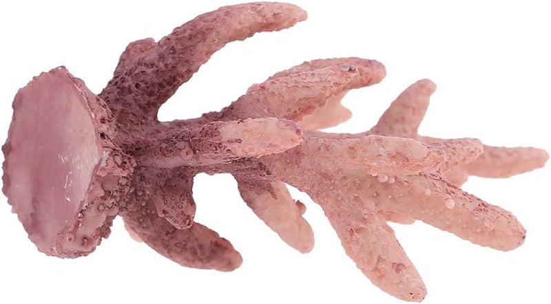 Fish for Tank Coral Decorations Aquarium Artificial Coral Small Resin Ornament for Freshwater and Saltwater Aquarium Landscaping Landscape Fishtank Simulation Biological Aquatic - Image 5