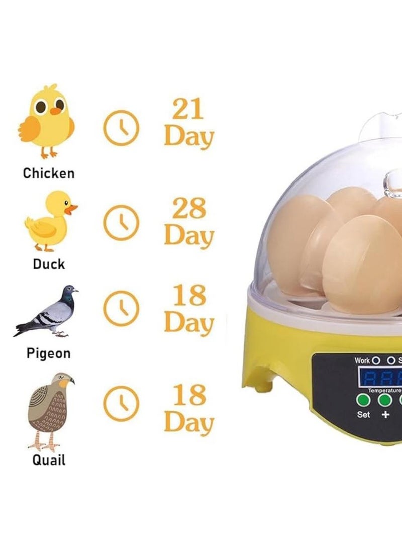 Generic - 7 Eggs Automatic Temperature Control Incubator Mini Digital Egg Incubator Hatcher Transparent Eggs Hatching Machine Yellow - Image 1