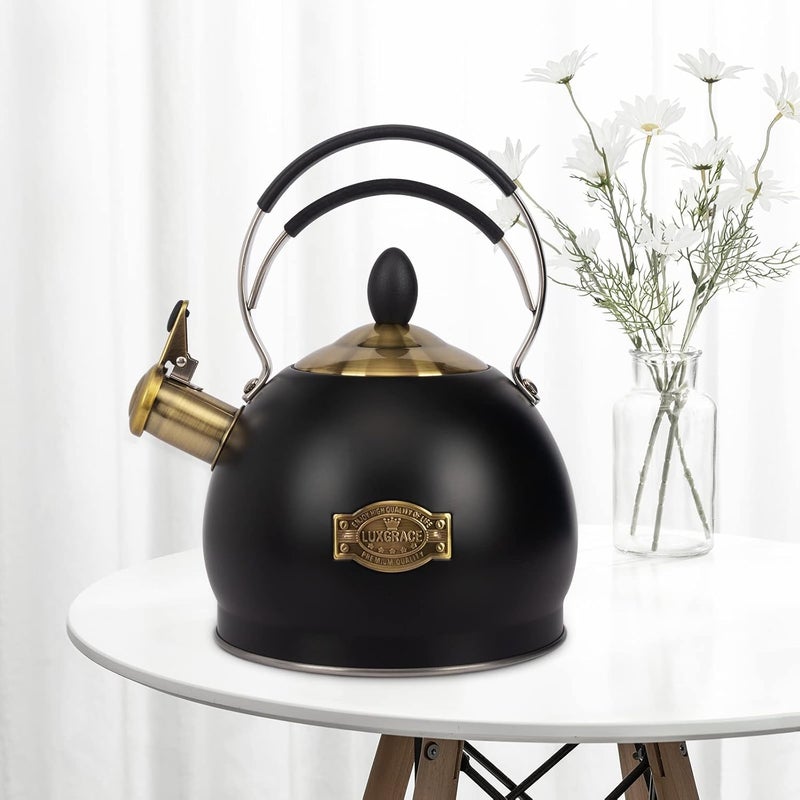 LUXGRACE Whistling Tea Kettle Stainless Steel Teapot, Teakettle for Stovetop Induction Stove Top, Fast Boiling Heat Water Tea Pot 2.6 Quart - Image 4