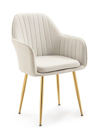 Maple Home Modern Accent Arm Chairs Living Dining Room Velvet Mid-Century Upholstered Seat Golden Legs - pzsku/ZA365D4F5675C939D37EBZ/45/_/1684081171/04d065a7-f3e8-4505-b986-54c01c4585e5