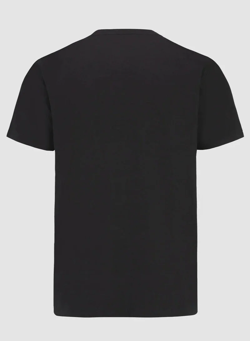 AMG Petronas Formula 1 Team  Mercedes-AMG F1 Stealth Logo T-Shirt  | Best Price UAE